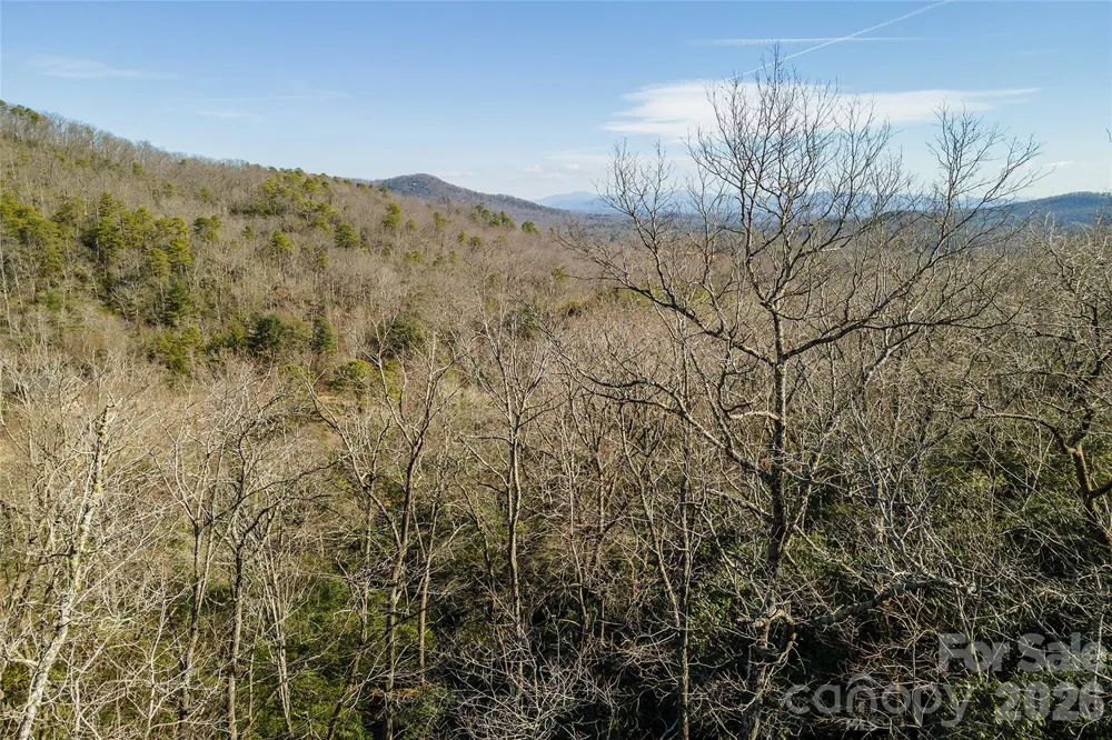 99999 Mills River Way #108 Horse Shoe, NC 28742