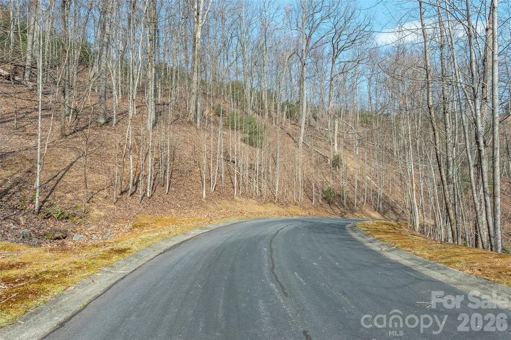 Lot 11 Shining Rock Path Horse Shoe, NC 28742