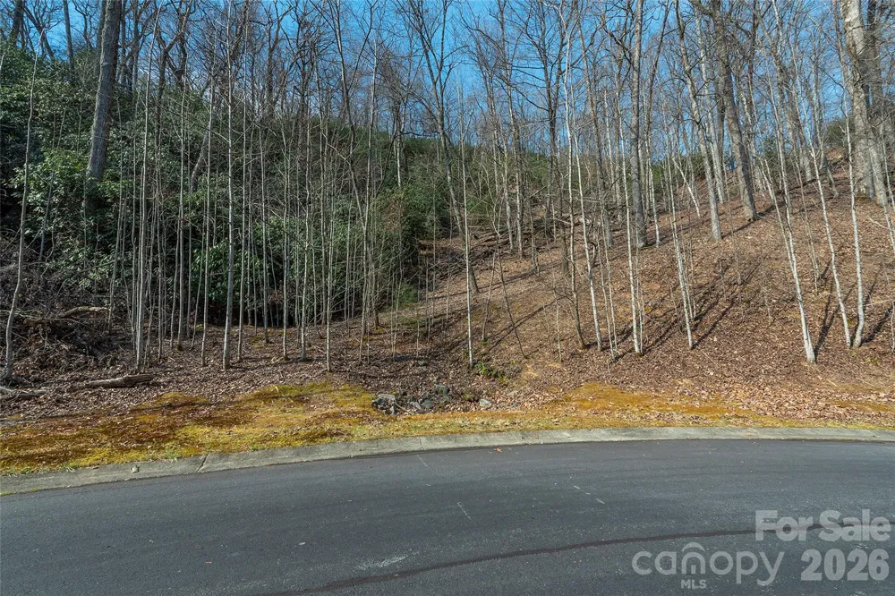 Lot 11 Shining Rock Path Horse Shoe, NC 28742