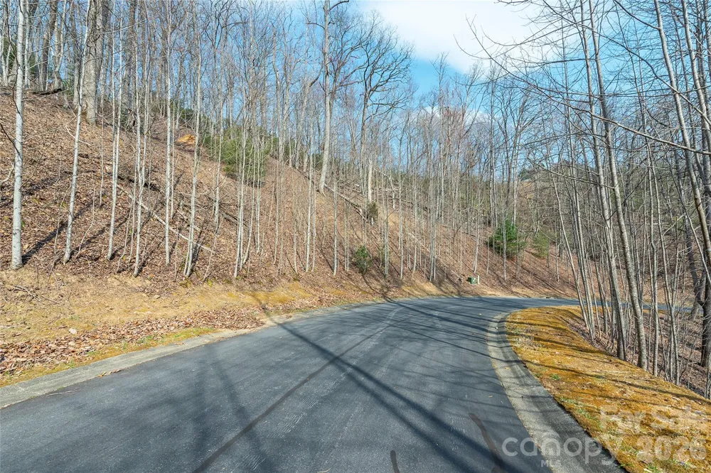 Lot 11 Shining Rock Path Horse Shoe, NC 28742