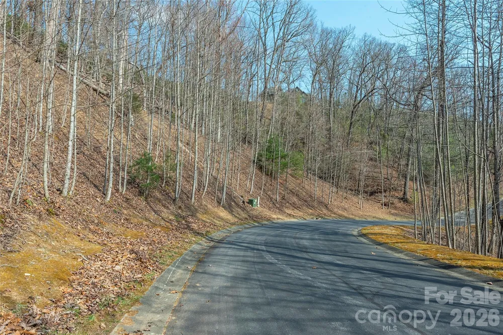 Lot 11 Shining Rock Path Horse Shoe, NC 28742
