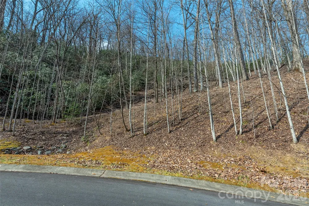 Lot 11 Shining Rock Path Horse Shoe, NC 28742
