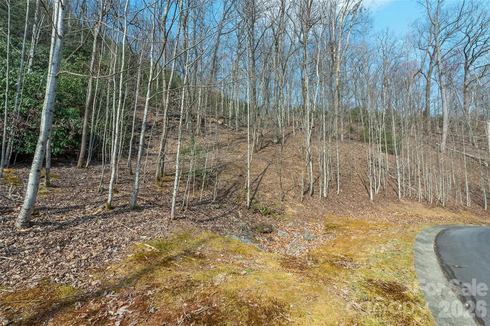 Lot 11 Shining Rock Path Horse Shoe, NC 28742