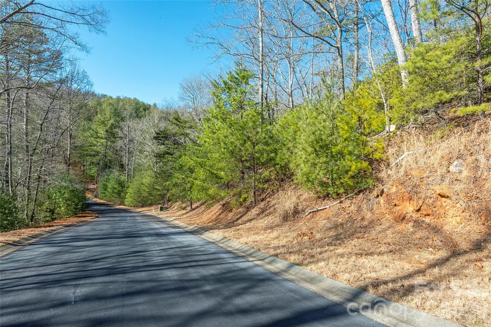 99999 Caddis Lane #92 Horse Shoe, NC 28742