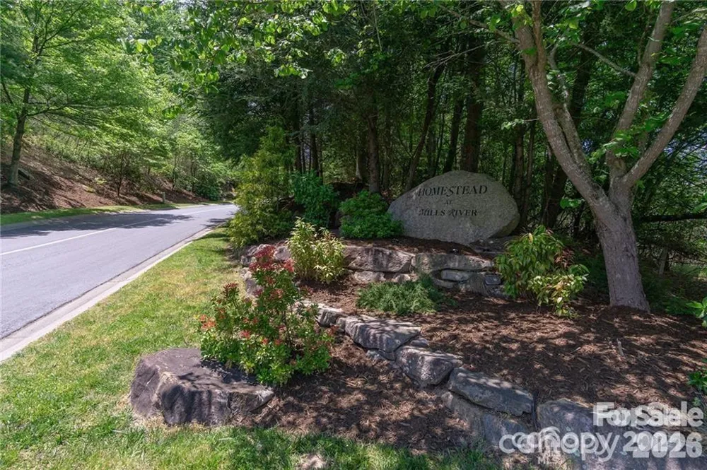 99999 Caddis Lane #92 Horse Shoe, NC 28742
