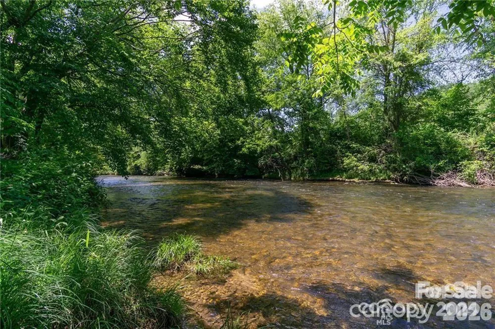 99999 Caddis Lane #92 Horse Shoe, NC 28742