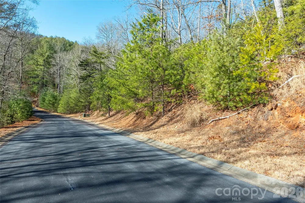 99999 Caddis Lane #92 Horse Shoe, NC 28742