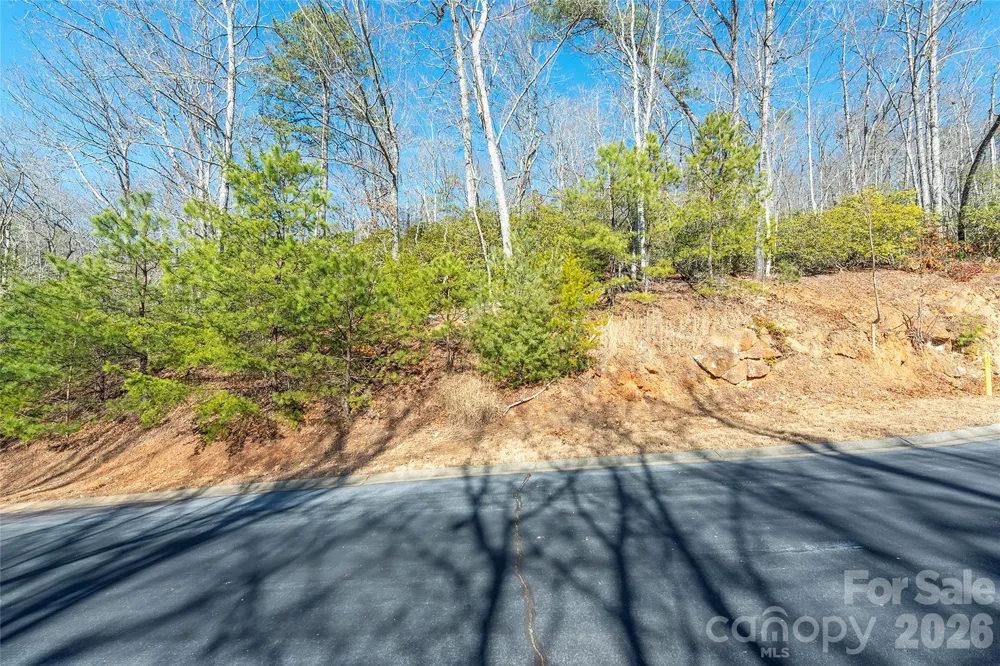 99999 Caddis Lane #92 Horse Shoe, NC 28742