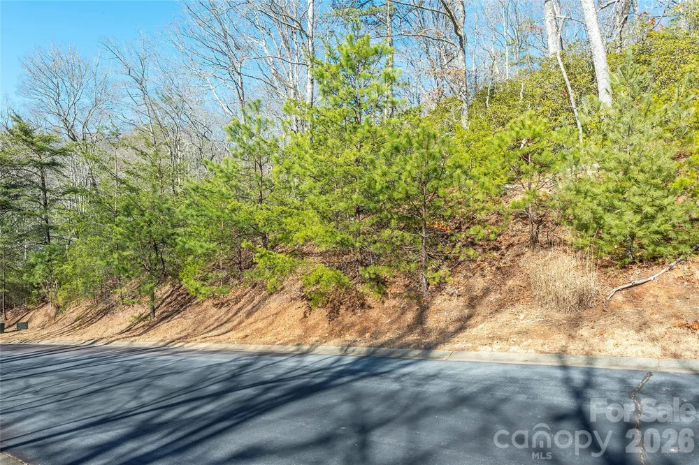 99999 Caddis Lane #92 Horse Shoe, NC 28742