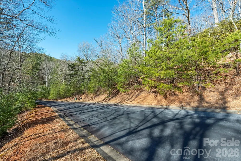 99999 Caddis Lane #92 Horse Shoe, NC 28742