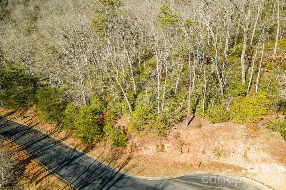 99999 Caddis Lane #92 Horse Shoe, NC 28742
