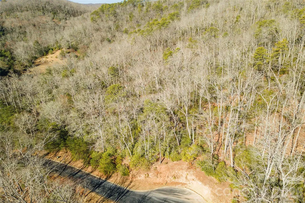 99999 Caddis Lane #92 Horse Shoe, NC 28742