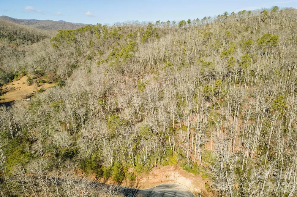 99999 Caddis Lane #92 Horse Shoe, NC 28742