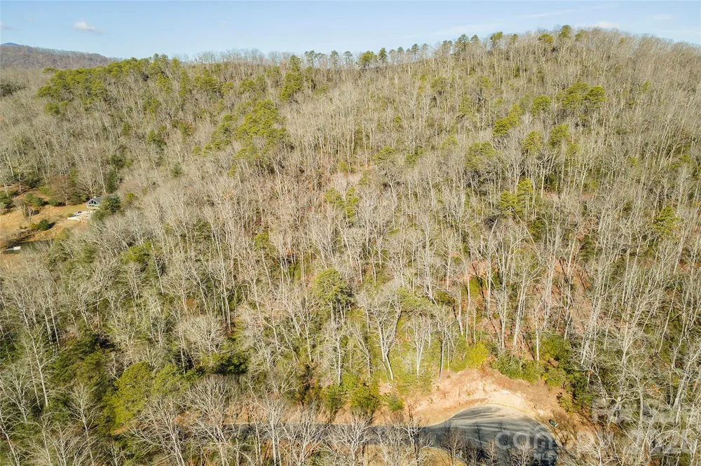 99999 Caddis Lane #92 Horse Shoe, NC 28742