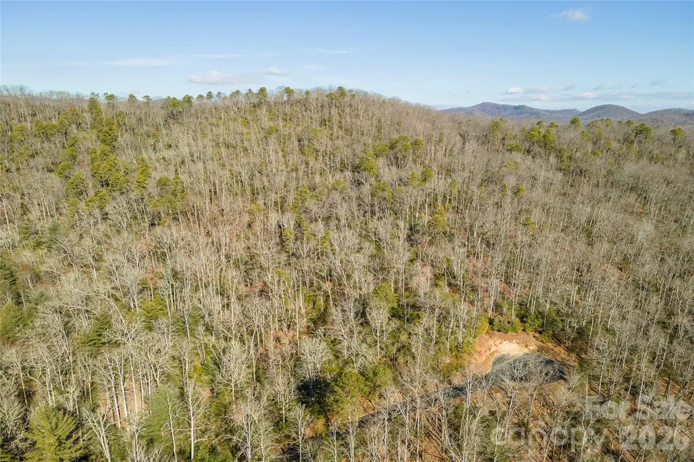 99999 Caddis Lane #92 Horse Shoe, NC 28742