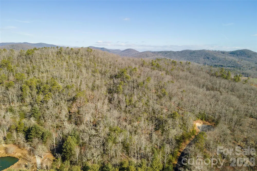 99999 Caddis Lane #92 Horse Shoe, NC 28742