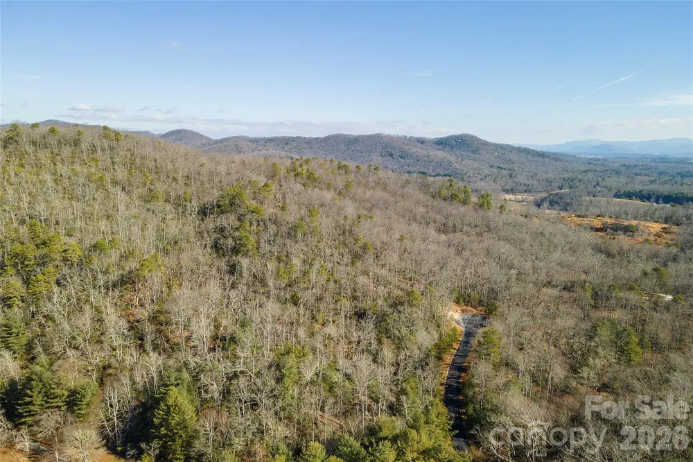 99999 Caddis Lane #92 Horse Shoe, NC 28742