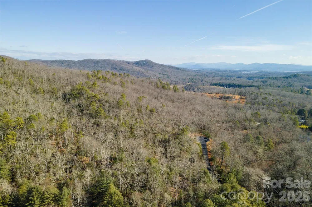 99999 Caddis Lane #92 Horse Shoe, NC 28742