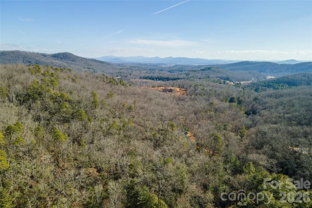 99999 Caddis Lane #92 Horse Shoe, NC 28742