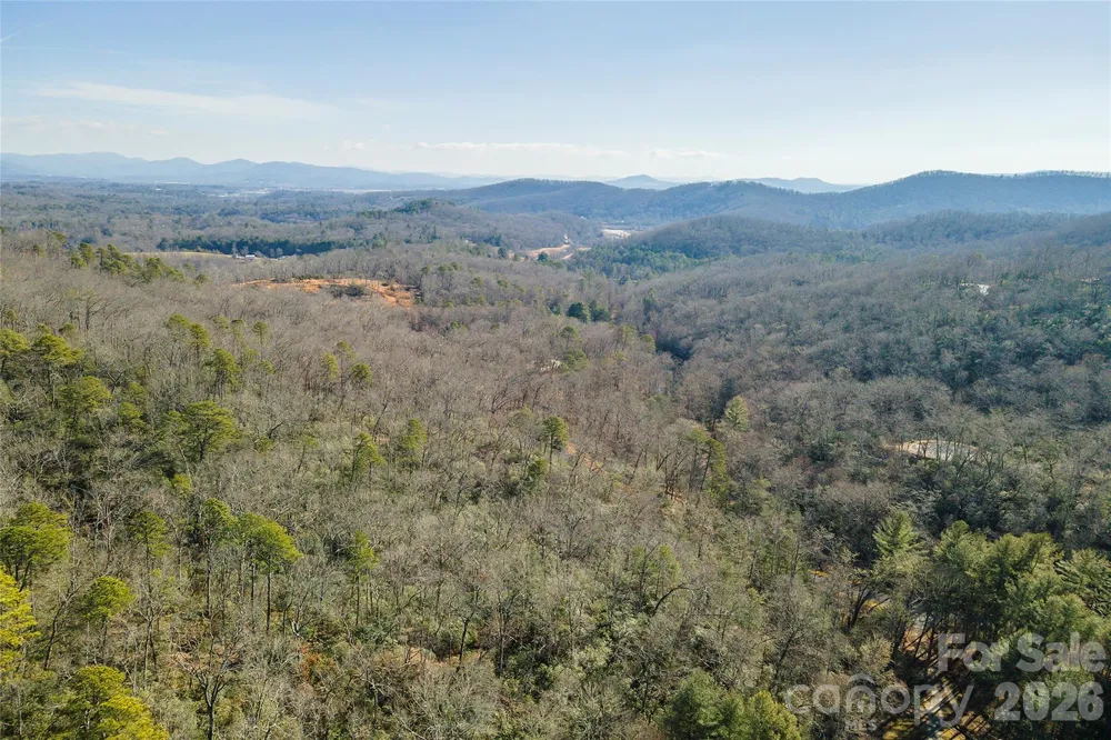 99999 Caddis Lane #92 Horse Shoe, NC 28742