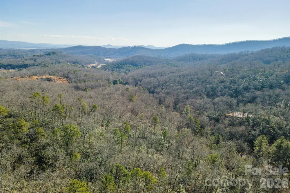 99999 Caddis Lane #92 Horse Shoe, NC 28742