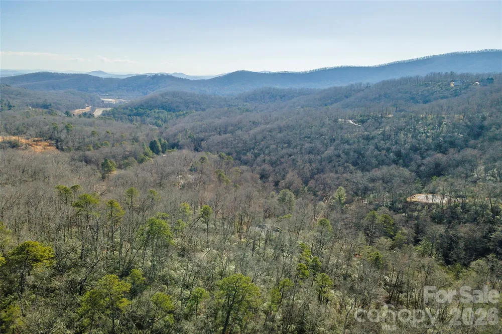 99999 Caddis Lane #92 Horse Shoe, NC 28742