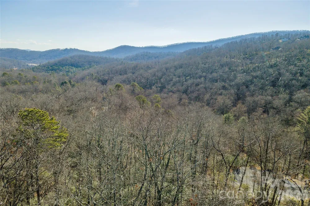 99999 Caddis Lane #92 Horse Shoe, NC 28742