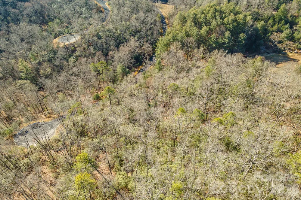 99999 Caddis Lane #92 Horse Shoe, NC 28742