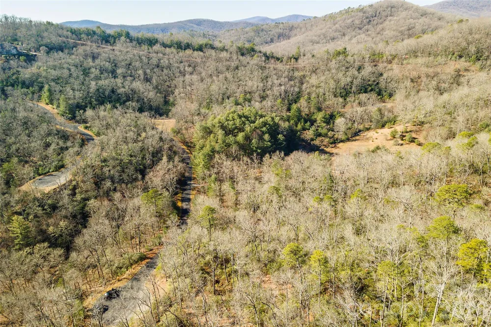 99999 Caddis Lane #92 Horse Shoe, NC 28742