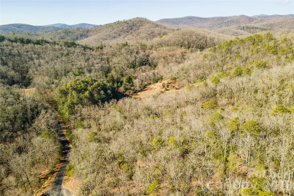 99999 Caddis Lane #92 Horse Shoe, NC 28742
