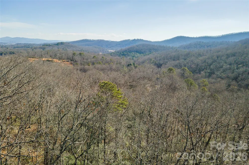 99999 Caddis Lane #92 Horse Shoe, NC 28742