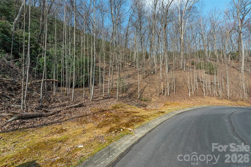 Lot 12 Shining Rock Path Horse Shoe, NC 28742