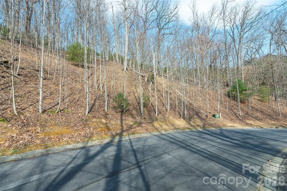 Lot 12 Shining Rock Path Horse Shoe, NC 28742