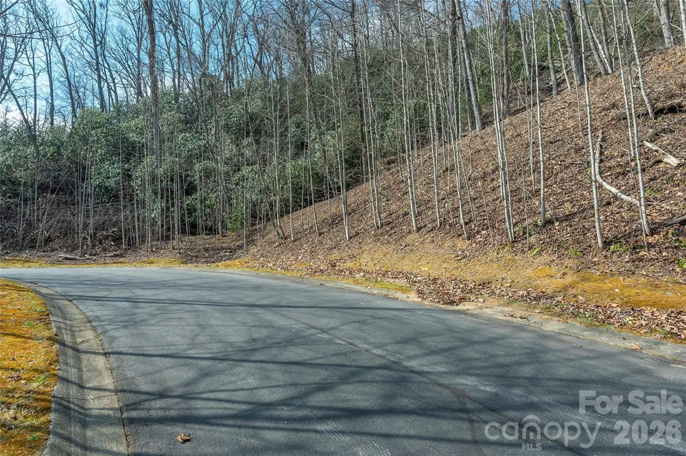 Lot 12 Shining Rock Path Horse Shoe, NC 28742