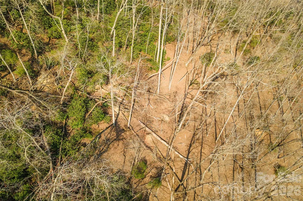 Lot 12 Shining Rock Path Horse Shoe, NC 28742