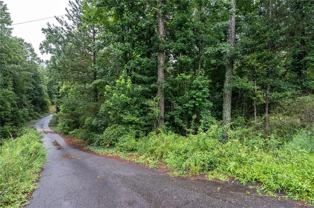 70 Katie Lane Carlton, GA 30627
