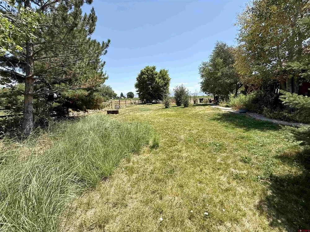 52494 Carnation Road Delta, CO 81416