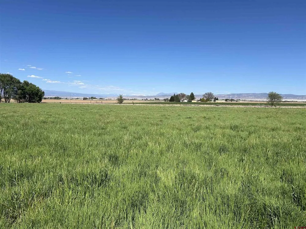 52494 Carnation Road Delta, CO 81416