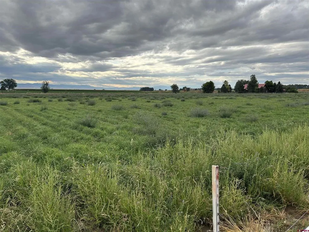 52494 Carnation Road Delta, CO 81416
