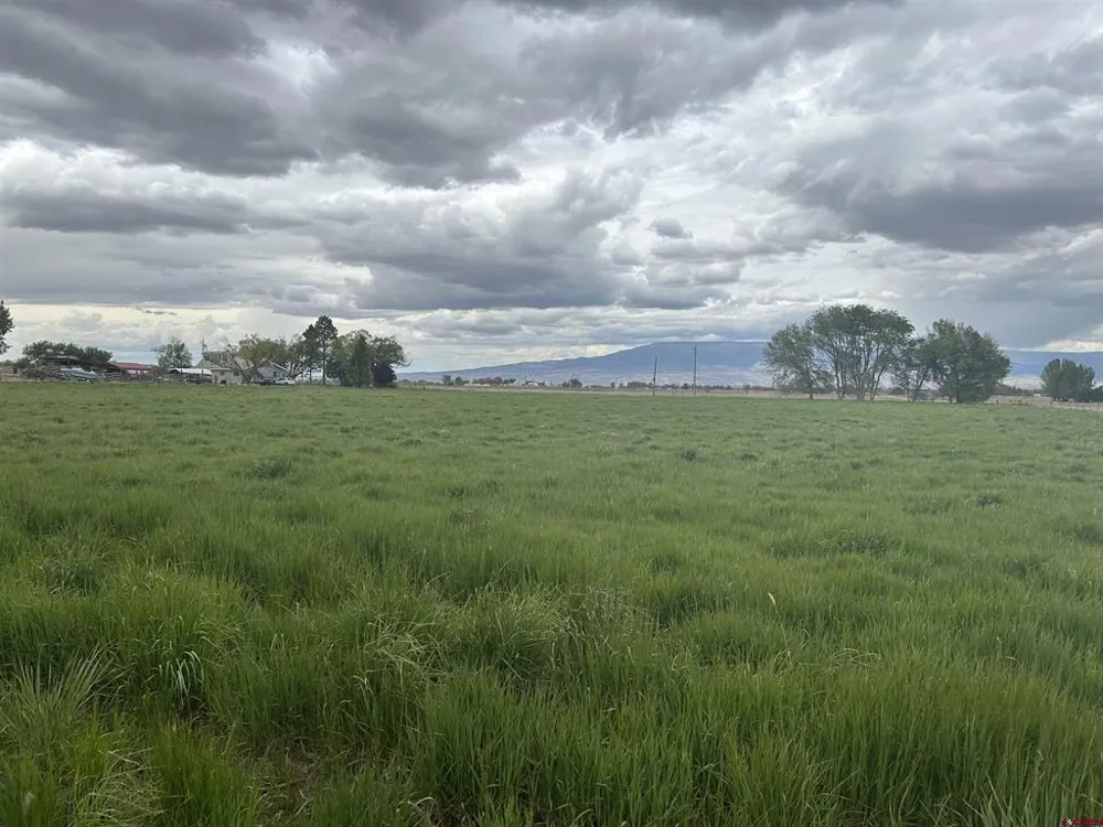 52494 Carnation Road Delta, CO 81416
