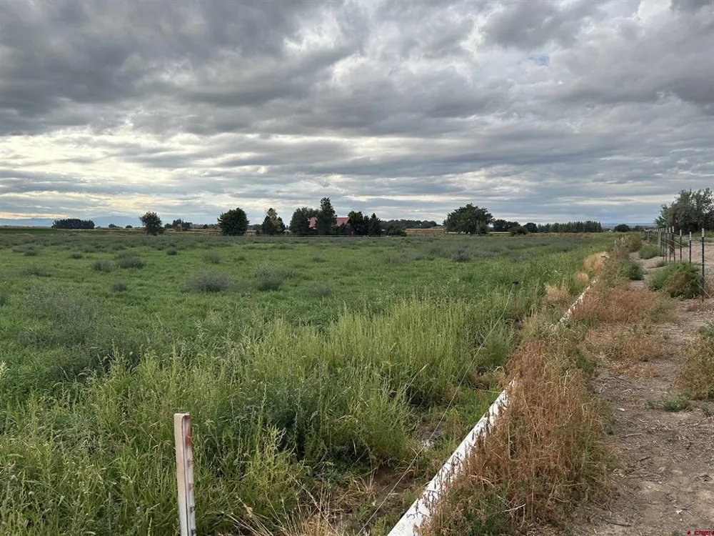 52494 Carnation Road Delta, CO 81416