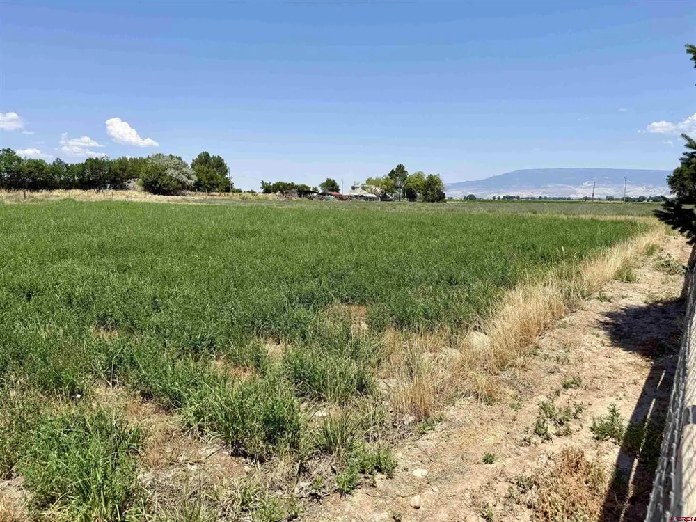 52494 Carnation Road Delta, CO 81416
