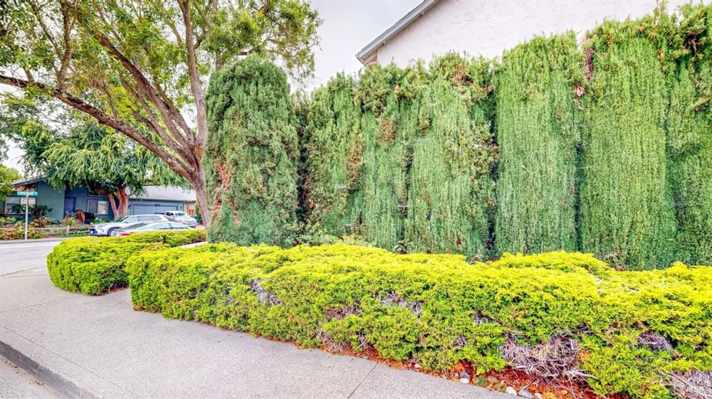 1702 Capistrano Drive Petaluma, CA 94954