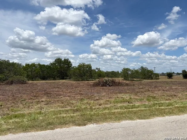 100 Oak Hollow Drive La Vernia, TX 78121