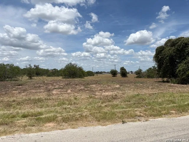 100 Oak Hollow Drive La Vernia, TX 78121