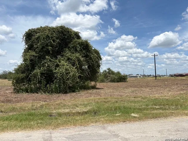 100 Oak Hollow Drive La Vernia, TX 78121