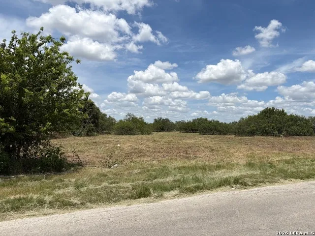 100 Oak Hollow Drive La Vernia, TX 78121