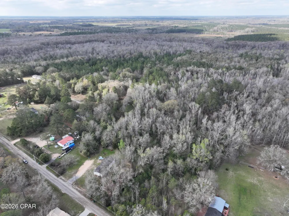 Pelham Avenue Graceville, FL 32440