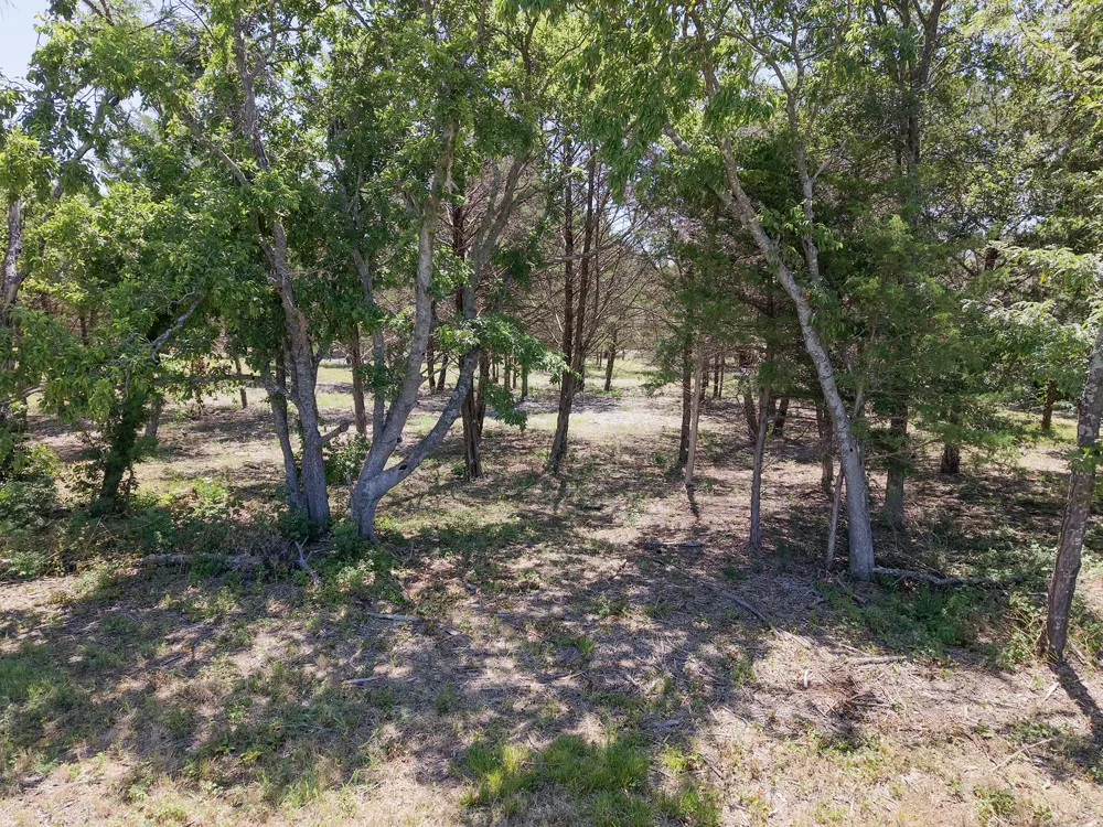 1843 County Road 2140 Caddo Mills, TX 75135