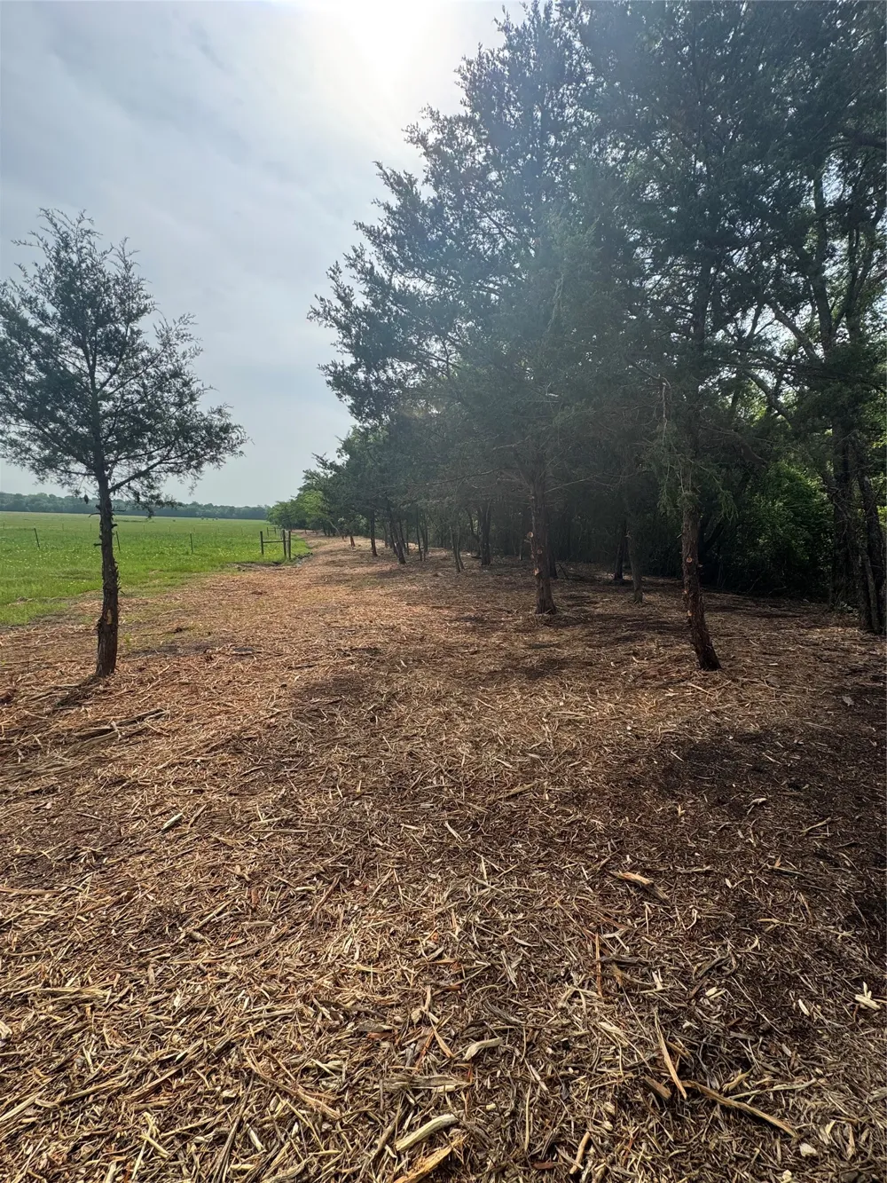 1843 County Road 2140 Caddo Mills, TX 75135